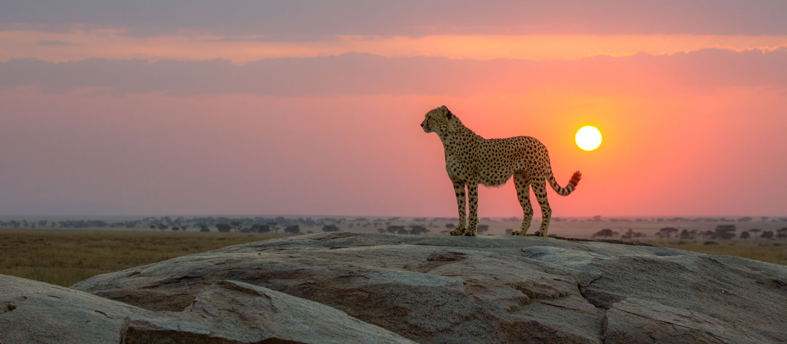 3 Days Safari To Serengeti & The Ngorongoro Crater Private