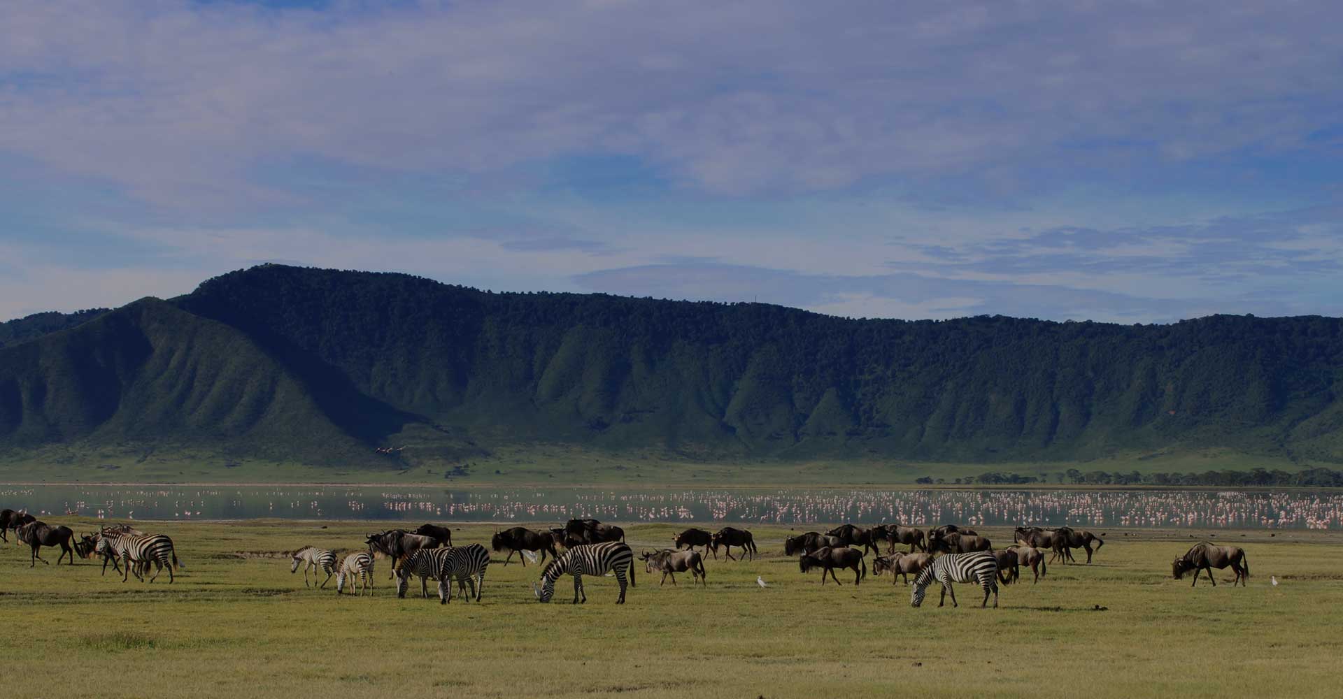 6 Days Tanzania Mid-Range Private Lodge Safari