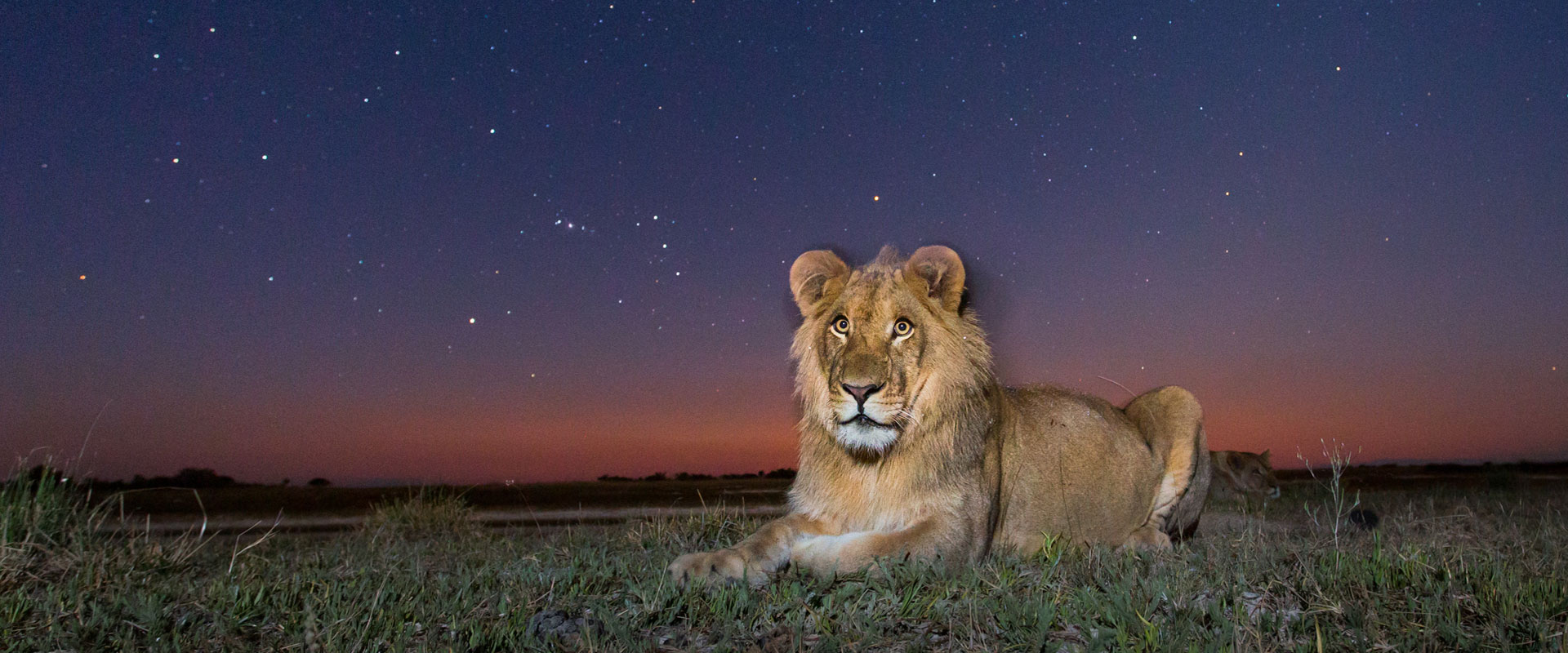 9-Day Tanzania Safari – Serengeti Grand Tour