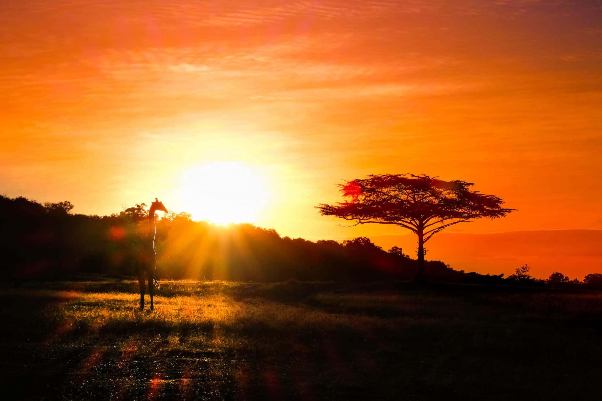 3 – Day Private Midrange Serengeti Ngorongoro Fly-in