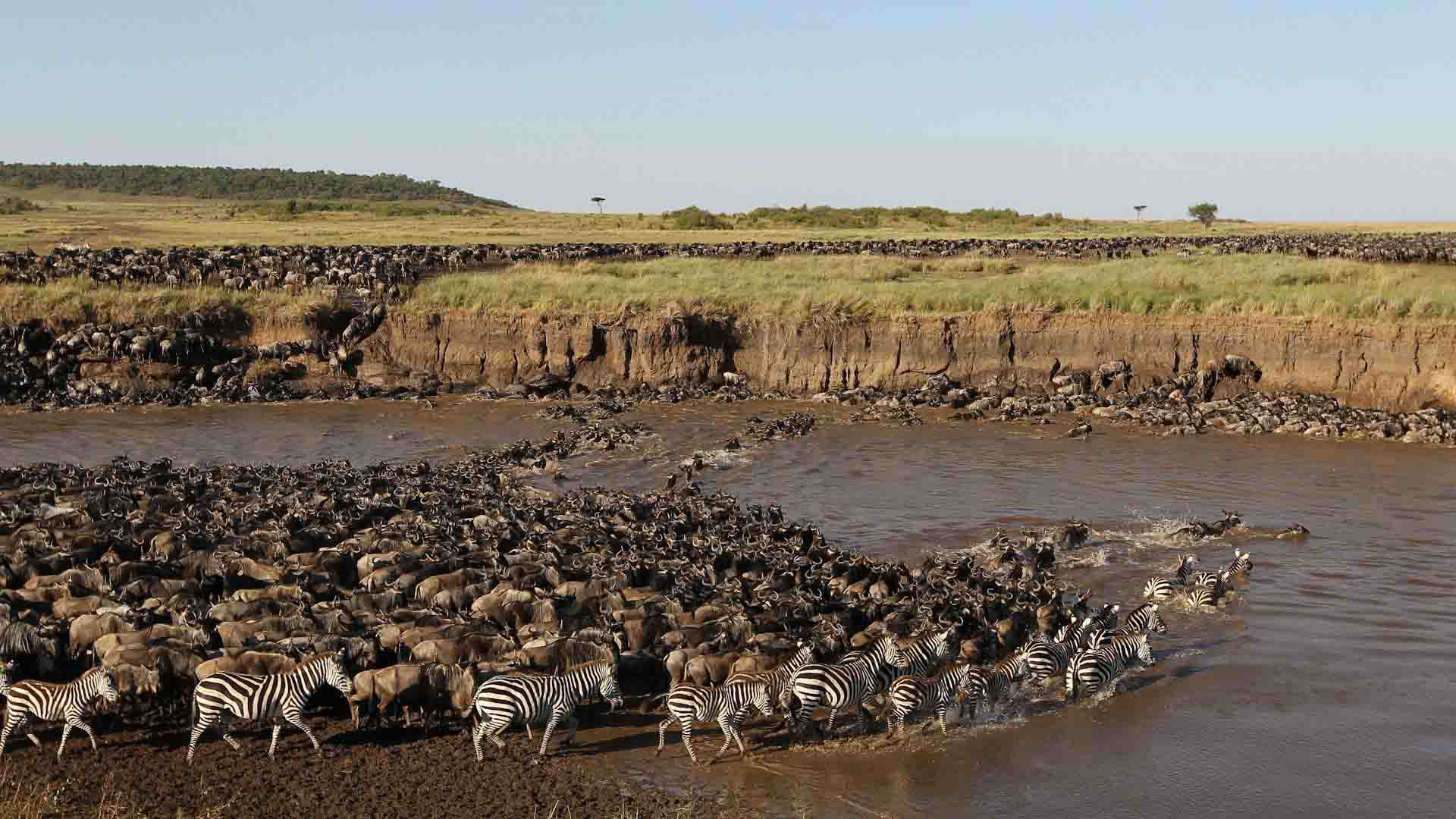 Serengeti
